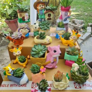 Bunny House Combo - Color: Multicolor