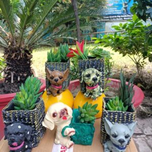 Dog Planter Set - Color: Multicolor